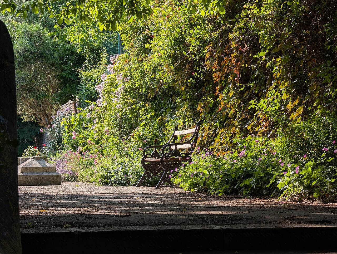 An ornate cast-iron bench on a gravel path beside flowering climbers.