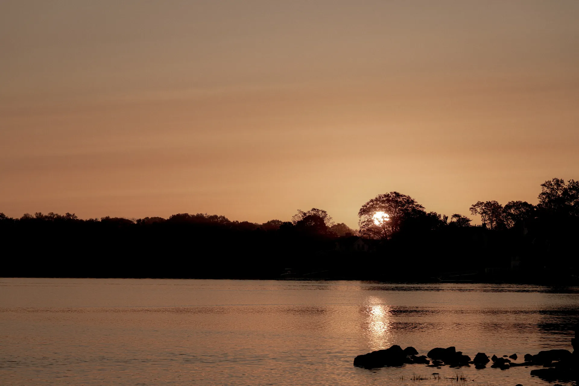 The sun setting behind trees over a calm lake.